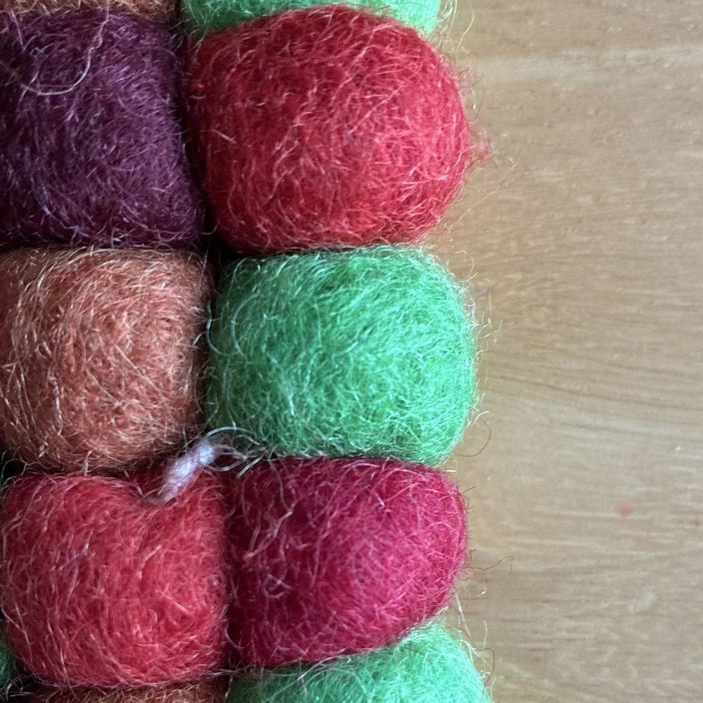 NWT Trader Joe's Handcrafted Felted Wool Trivet *Read